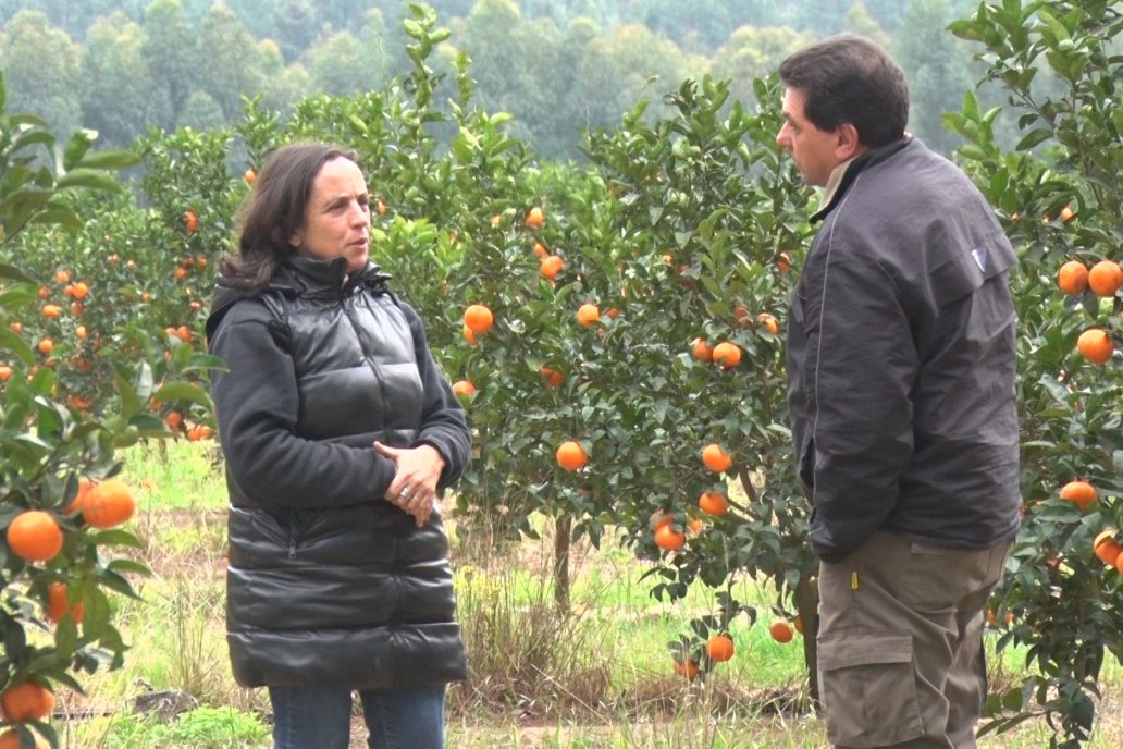 Melania Zorzi - Presidente de FECIER - Actualidad de la producción citrícola entrerriana