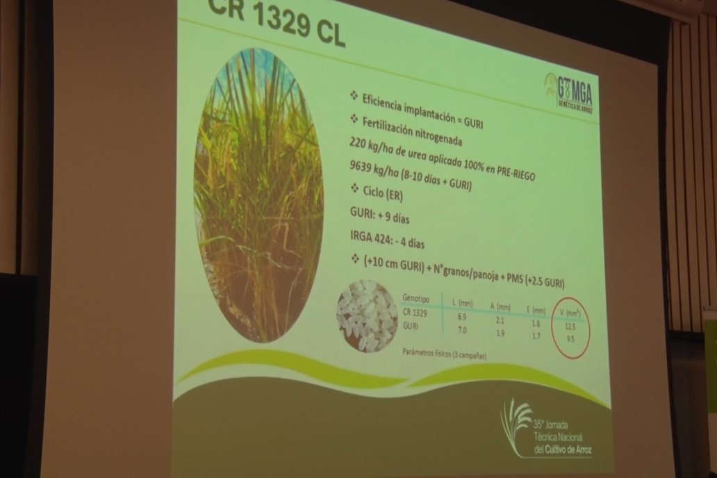 35° Jornada Técnica Nacional del Cultivo de Arroz - Concordia, Entre Ríos