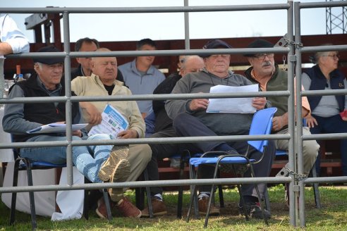 3° Jura Fenotípica de la 8va. Prueba Pastoril Angus del Litoral