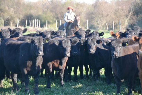 Previo al 19 Remate Anual:  Dia de Campo de Estancias Don Pastor