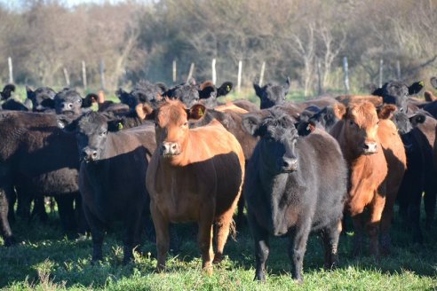 Previo al 19 Remate Anual:  Dia de Campo de Estancias Don Pastor