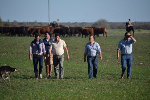 Previo al 19 Remate Anual:  Dia de Campo de Estancias Don Pastor