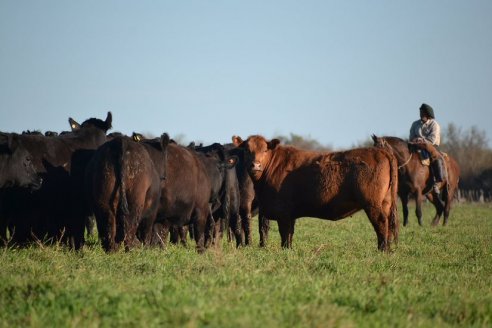 Previo al 19 Remate Anual:  Dia de Campo de Estancias Don Pastor