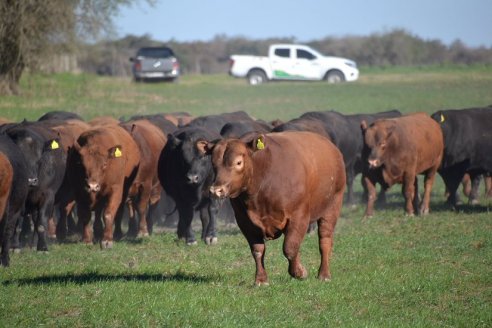 Previo al 19 Remate Anual:  Dia de Campo de Estancias Don Pastor