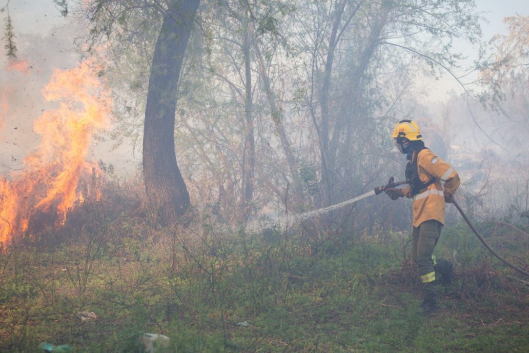 La protección de la biodiversidad es un tópico del Plan de Manejo del Fuego.