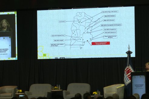 1er. Simposio Argentino de Colza y otras Brasicaceas - Centro Provincial de Convenciones  - Paraná, Entre Ríos