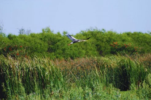 Enseñan cómo promover espacios para preservar la biodiversidad en ambientes productivos