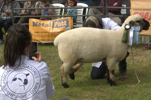 10° EXPOSICIÓN NACIONAL HAMPSHIRE DOWN en la 131° Expo Rural Gualeguaychú