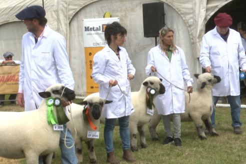 10° EXPOSICIÓN NACIONAL HAMPSHIRE DOWN en la 131° Expo Rural Gualeguaychú