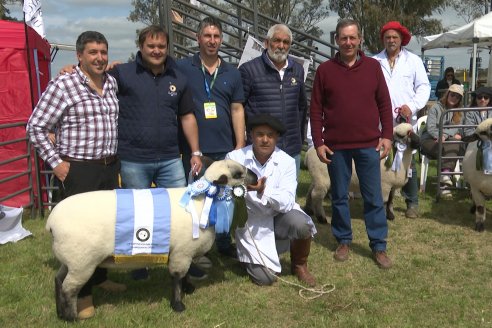 10° EXPOSICIÓN NACIONAL HAMPSHIRE DOWN en la 131° Expo Rural Gualeguaychú