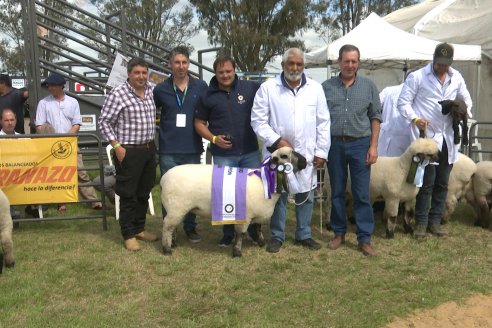 10° EXPOSICIÓN NACIONAL HAMPSHIRE DOWN en la 131° Expo Rural Gualeguaychú