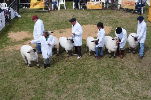 10° EXPOSICIÓN NACIONAL HAMPSHIRE DOWN en la 131° Expo Rural Gualeguaychú