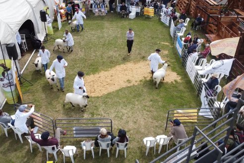 10° EXPOSICIÓN NACIONAL HAMPSHIRE DOWN en la 131° Expo Rural Gualeguaychú