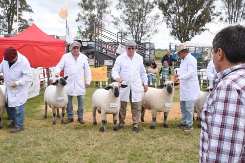 10° EXPOSICIÓN NACIONAL HAMPSHIRE DOWN en la 131° Expo Rural Gualeguaychú