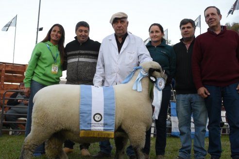 10° EXPOSICIÓN NACIONAL HAMPSHIRE DOWN en la 131° Expo Rural Gualeguaychú