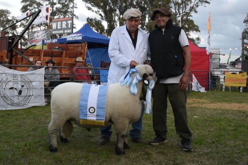 10° EXPOSICIÓN NACIONAL HAMPSHIRE DOWN en la 131° Expo Rural Gualeguaychú