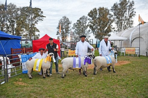 10° EXPOSICIÓN NACIONAL HAMPSHIRE DOWN en la 131° Expo Rural Gualeguaychú