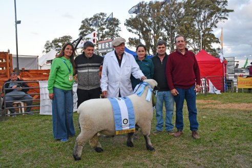 10° EXPOSICIÓN NACIONAL HAMPSHIRE DOWN en la 131° Expo Rural Gualeguaychú