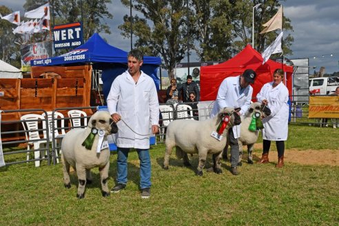 10° EXPOSICIÓN NACIONAL HAMPSHIRE DOWN en la 131° Expo Rural Gualeguaychú