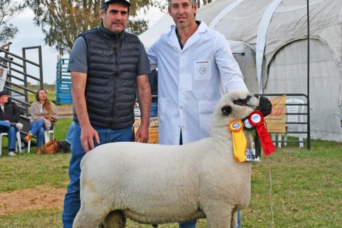 10° EXPOSICIÓN NACIONAL HAMPSHIRE DOWN en la 131° Expo Rural Gualeguaychú