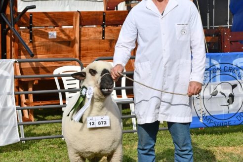 10° EXPOSICIÓN NACIONAL HAMPSHIRE DOWN en la 131° Expo Rural Gualeguaychú