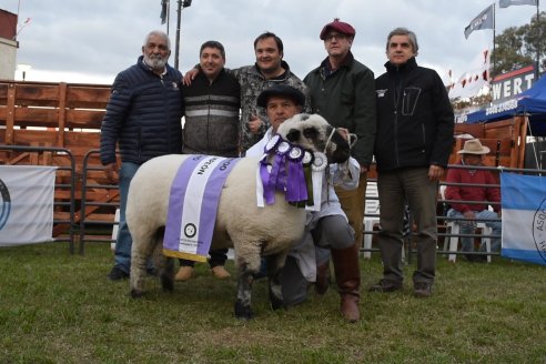 10° EXPOSICIÓN NACIONAL HAMPSHIRE DOWN en la 131° Expo Rural Gualeguaychú