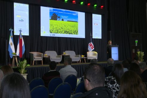 Primer Simposio Nacional de Colza y otras Brasicaceas en Paraná