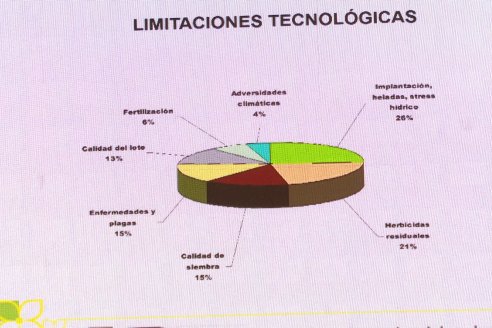 Primer Simposio Nacional de Colza y otras Brasicaceas en Paraná