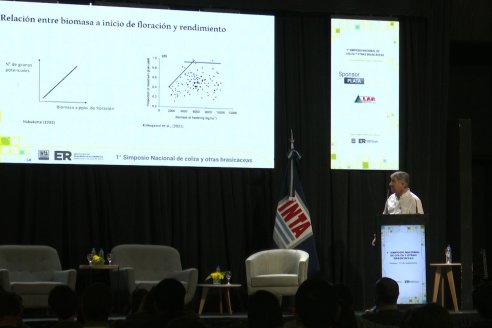 Primer Simposio Nacional de Colza y otras Brasicaceas en Paraná