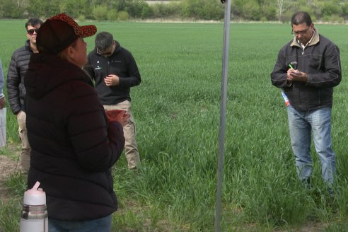 Jornada a Campo: La Ruta de la Roya -  Agrofe Campo y Sumitomo Chemical en Victoria