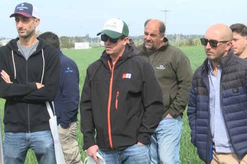 Jornada a Campo: La Ruta de la Roya -  Agrofe Campo y Sumitomo Chemical en Victoria