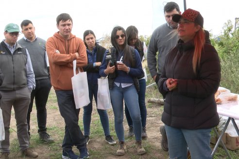 Jornada a Campo: La Ruta de la Roya -  Agrofe Campo y Sumitomo Chemical en Victoria