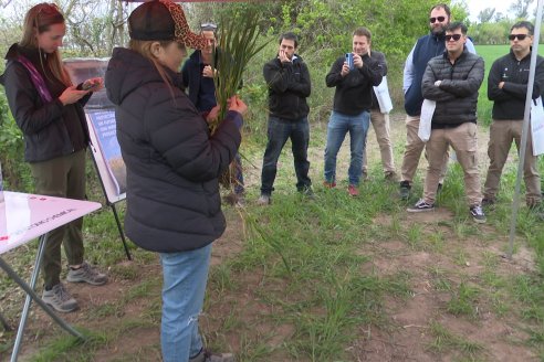 Jornada a Campo: La Ruta de la Roya -  Agrofe Campo y Sumitomo Chemical en Victoria