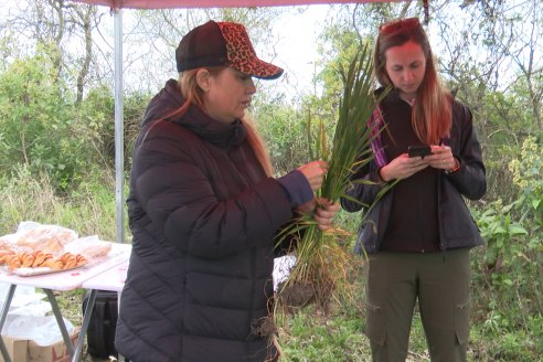 Jornada a Campo: La Ruta de la Roya -  Agrofe Campo y Sumitomo Chemical en Victoria