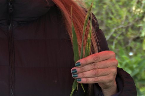 Jornada a Campo: La Ruta de la Roya -  Agrofe Campo y Sumitomo Chemical en Victoria