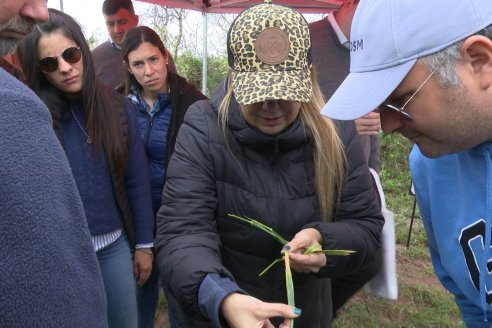 Jornada a Campo: La Ruta de la Roya -  Agrofe Campo y Sumitomo Chemical en Victoria