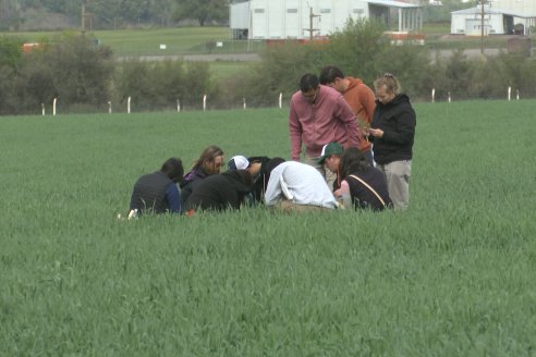 Jornada a Campo: La Ruta de la Roya -  Agrofe Campo y Sumitomo Chemical en Victoria