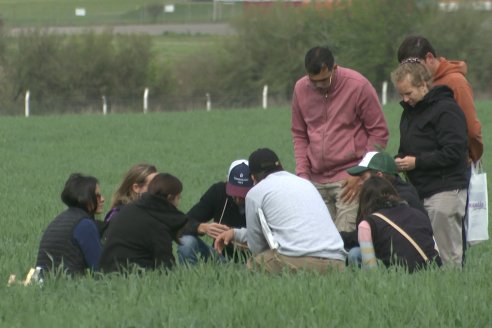 Jornada a Campo: La Ruta de la Roya -  Agrofe Campo y Sumitomo Chemical en Victoria