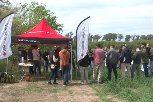 Jornada a Campo: La Ruta de la Roya -  Agrofe Campo y Sumitomo Chemical en Victoria