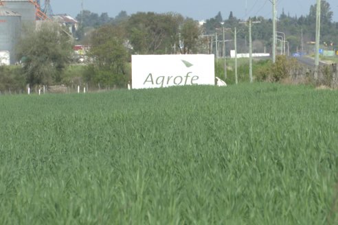 Jornada a Campo: La Ruta de la Roya -  Agrofe Campo y Sumitomo Chemical en Victoria