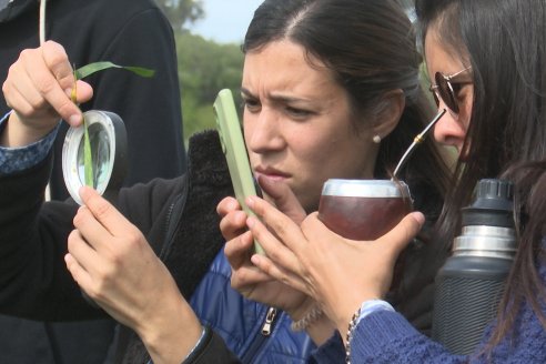 Jornada a Campo: La Ruta de la Roya -  Agrofe Campo y Sumitomo Chemical en Victoria