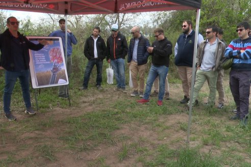 Jornada a Campo: La Ruta de la Roya -  Agrofe Campo y Sumitomo Chemical en Victoria