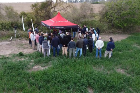 Jornada a Campo: La Ruta de la Roya -  Agrofe Campo y Sumitomo Chemical en Victoria