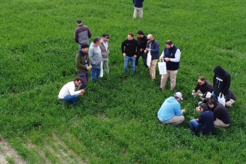 Jornada a Campo: La Ruta de la Roya -  Agrofe Campo y Sumitomo Chemical en Victoria