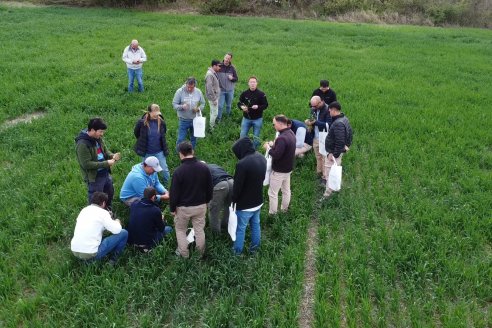 Jornada a Campo: La Ruta de la Roya -  Agrofe Campo y Sumitomo Chemical en Victoria