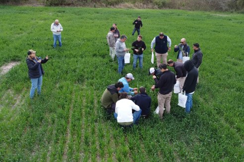 Jornada a Campo: La Ruta de la Roya -  Agrofe Campo y Sumitomo Chemical en Victoria