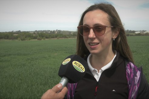 Jornada a Campo: La Ruta de la Roya -  Agrofe Campo y Sumitomo Chemical en Victoria