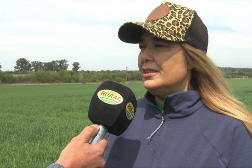 Jornada a Campo: La Ruta de la Roya -  Agrofe Campo y Sumitomo Chemical en Victoria