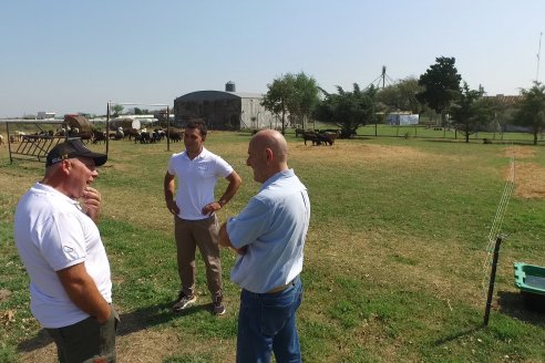 Visita a Cabaña Ovina San Miguel - Sauce Pinto, Entre Ríos