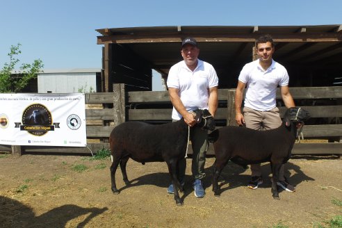 Visita a Cabaña Ovina San Miguel - Sauce Pinto, Entre Ríos